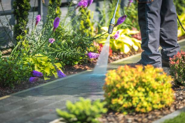 Best Gutter Cleaning  in Wynantskill, NY