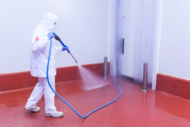 Best Sidewalk and Walkway Cleaning  in Wynantskill, NY